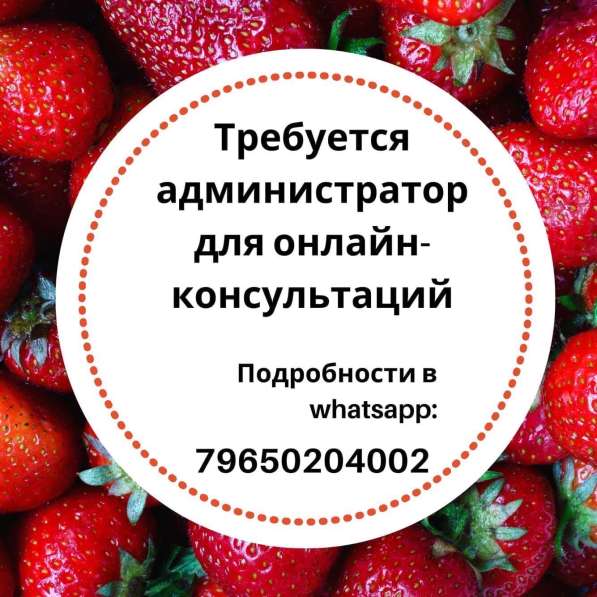 Администратор