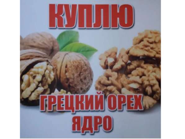 КУПЛЮ Грецкий орех чищенный в Новошахтинске