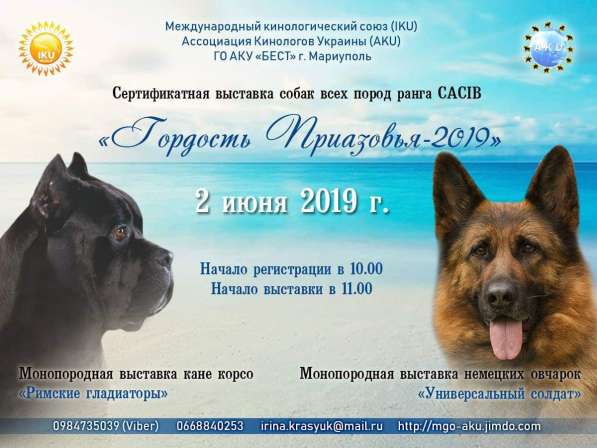 Выставка собак
