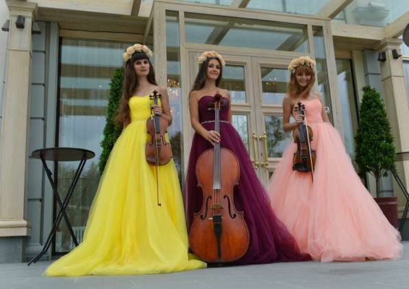 Скрипка на свадьбу - струнное трио, свадебная музыка в Москве фото 5