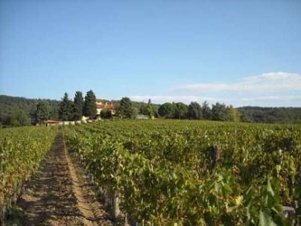 Продается красивый винный завод на холмах кьянти в фото 9
