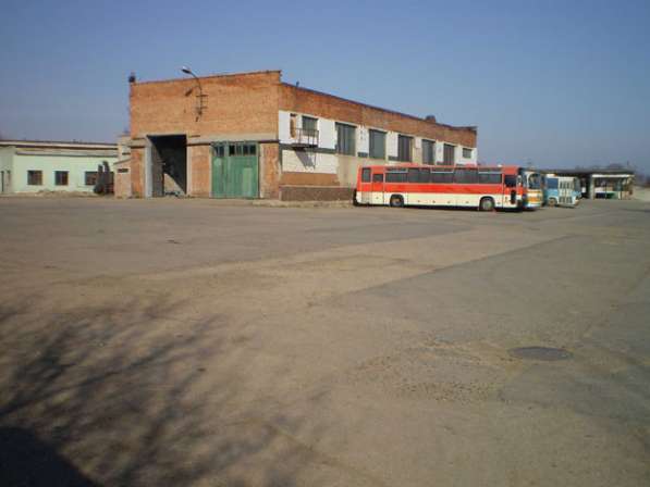 Продажа транспортного предприятия в Крыму в Керчи фото 3