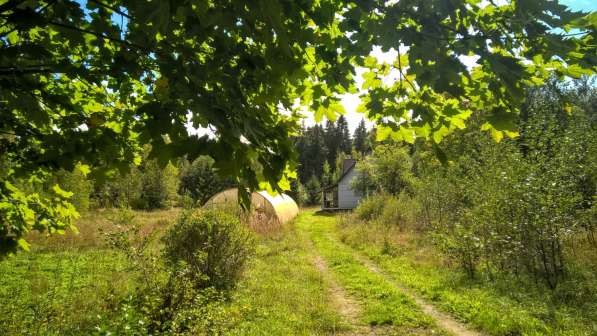 Дом на хуторе, все удобства, своя газ. ветка, 7 Га. земли в Пскове фото 5