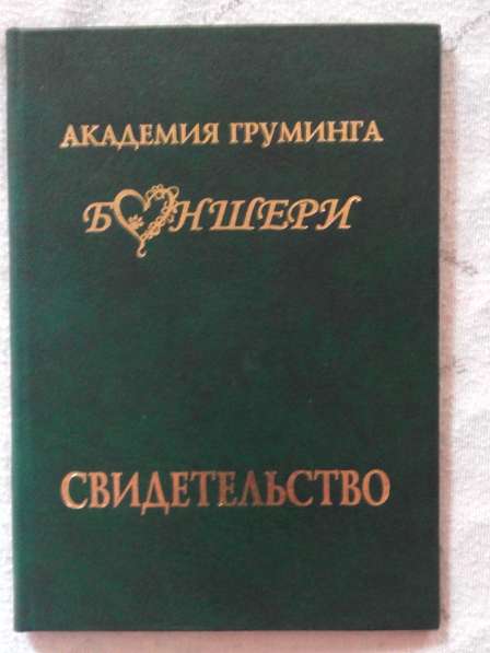 Профессиональная стрижка собак и кошек в Брянске фото 23