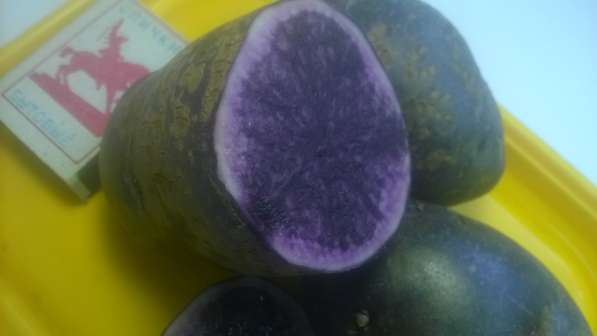 Фиолетовый картофель продам в Красноярске