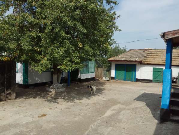 Продам Дом в селе Елизавето- Николаевка в фото 8