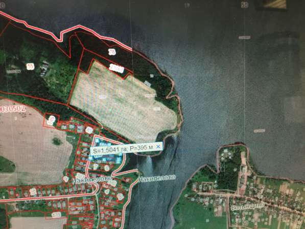 150 соток на первой линии Озернинского водохранилища в Рузе фото 4