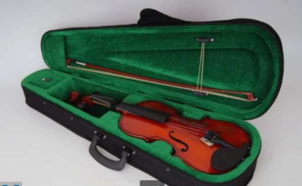 Чехол для скрипки