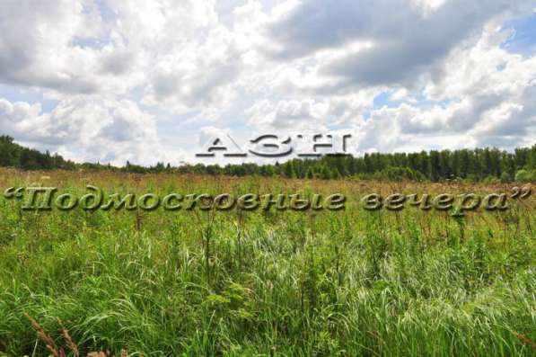 realty_mapper3.plot_in_locationСадовое некоммерческое тов-во. Площадь 10.00 сот.Есть Электричество. в Москве фото 3