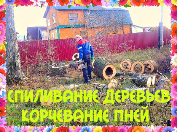 Спиливание деревьев и корчевание пней. Расчистка участка в Воронеже фото 11