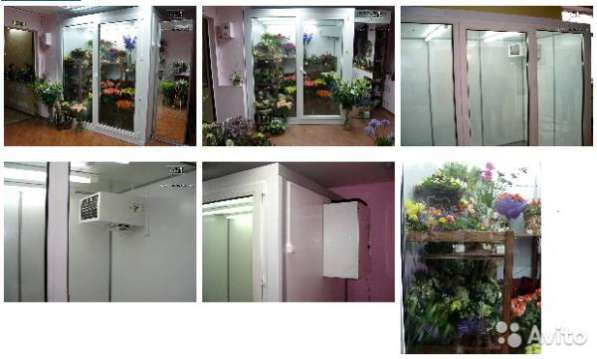 Холодильный шкаф для цветов