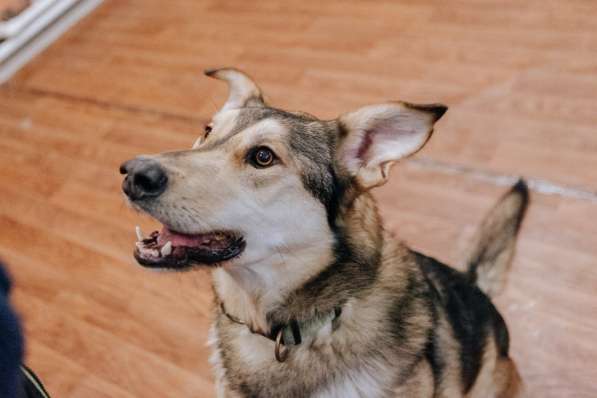 Нежнющий Купер в Москве фото 40