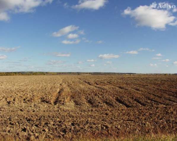 Продажа земли с/х назначения в Москве фото 3