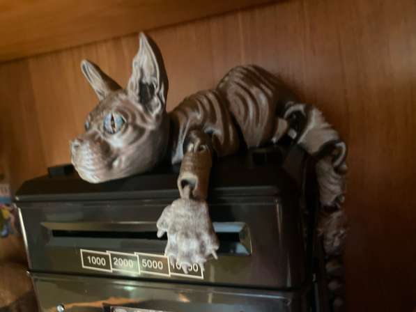 Кошка подвижная