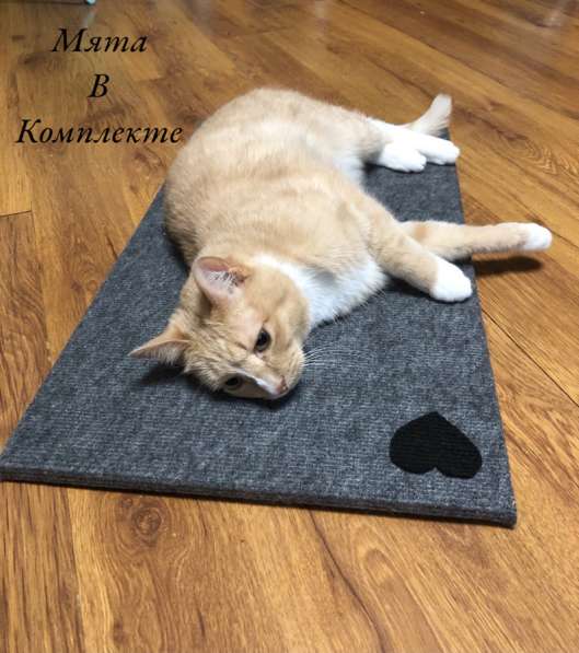 Когтеточка Напольная-Лежанка ST "Home Meow в Екатеринбурге фото 3