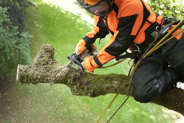 Земельные работы. Колодцы Септики Траншеи в Воронеже фото 9