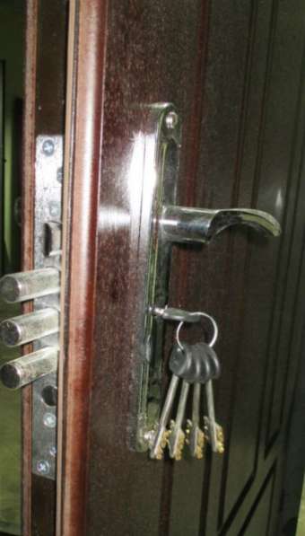 Двери металлические входные Собственное производство в Брянске фото 5