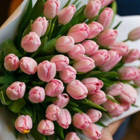 Тюльпаны на 8 марта в Череповце фото 5