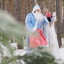 Дед мороз и снегурочка, в Красноярске