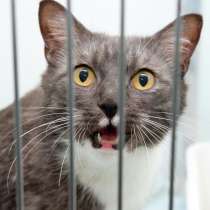 Доминика ищет человека, которого сможет осчастливить, в Москве