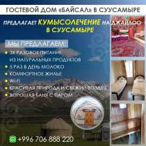 Кумысолечение на джайлоо в Суусамыре, в г.Бишкек