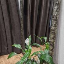 Зеркало настенное новое большое, в Брянске