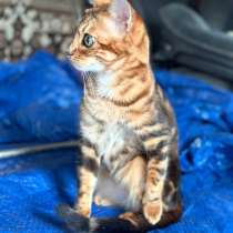 Продам!, в Москве