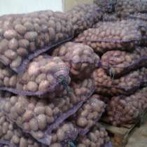 Картофель, мясо и др. овощи бесплатная доставка, в Тюмени