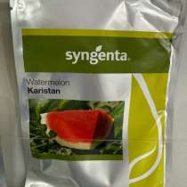 Каристан сингента, в Москве