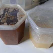 Продается мед со своей пасеки, в Челябинске