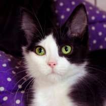 Фируза, прекрасное имя - грустная судьба, в Москве