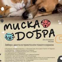 Выставка пристройство животных из приютов «Найди друга» !, в г.Москва