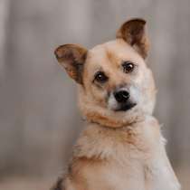 Харизматичный Марк ищет дом, в Москве