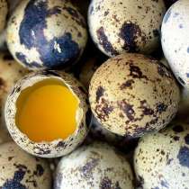 Домашние перепелиные яйца, в Таганроге