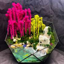 Моссариум «Сказочный лес», в Раменское