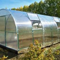 Теплица в Королеве, в Королёве