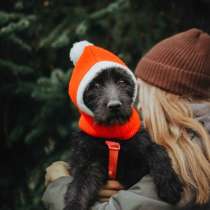 Бородатик Соня ищет дом, в Москве