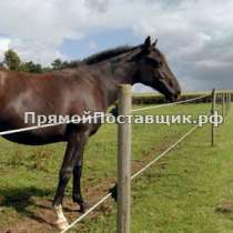 Комплект OLLI для Лошадей 100м, в Казани