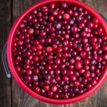 Продажа клюквы, в Нефтеюганске