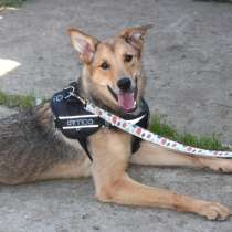 Молоденькая ласкушечка Ариша ждет родную семью всю свою мале, в Москве