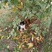 Матильда, в Санкт-Петербурге