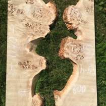 Слэбы тополя, в Пензе