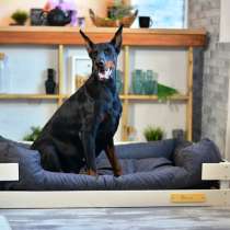 Лежанка для крупных пород деревянная, в Москве