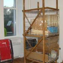 Клетки в стоике, в Москве