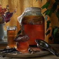 Чайный гриб Kombucha - невероятно полезный и вкусный, в Ижевске