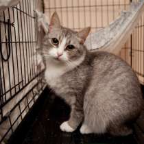 Трепетная Джейн отчаянно надеется на судьбоносную встречу, в Москве