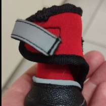 Обувь для собак мелких пород, в Москве