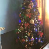 Искусанная елка, в Ростове-на-Дону