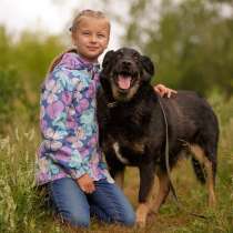 Верный и благородный Грей ищет семью!, в Москве