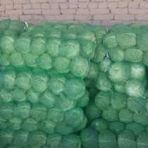 Капуста белокочанная оптом, в Санкт-Петербурге